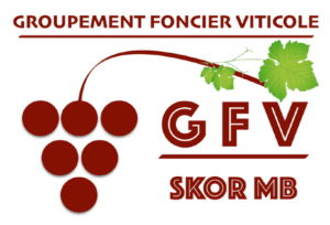investissement-gfv-skor-mb